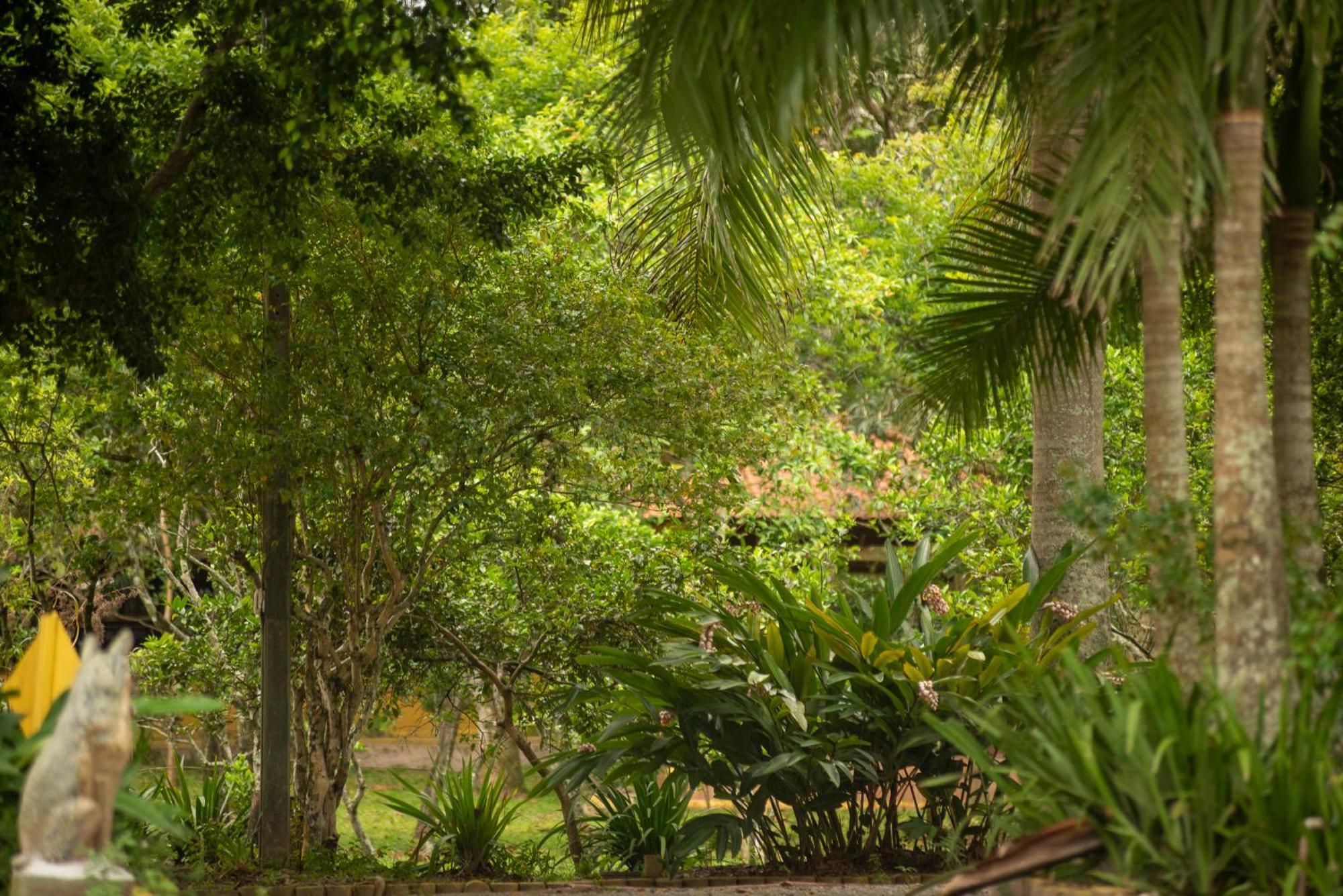 Pousada Chacara Rio Jordao Florianópolis Buitenkant foto